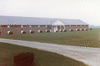 Greenville MC557_thumb.gif